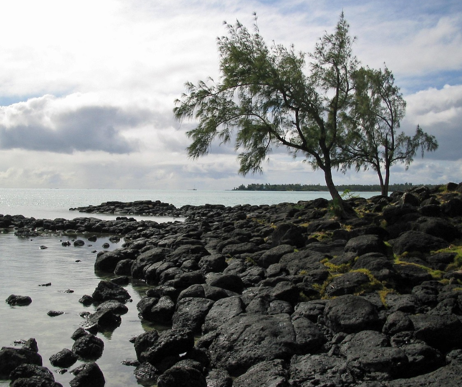 Mauritius Tour for 4 days